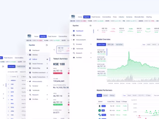 CapitalStake Analytics Redesign