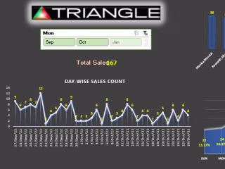 Excel Sales Dashboard