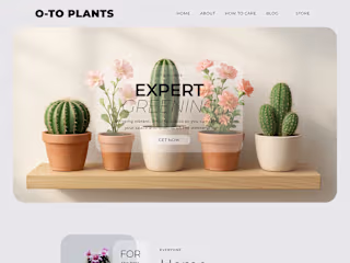 🌵 Plant Shop O-TO | Figma Design & Webflow Development