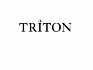 Triton Consulting Group