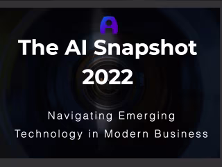 The AI Snapshot 2022