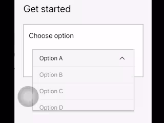 Custom dropdown menu