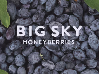Big Sky Honeyberries | Brand Strategy and Execution