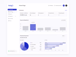 Bizigo Expense