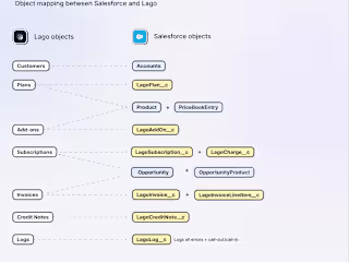 Lago to Salesforce CRM Managed package