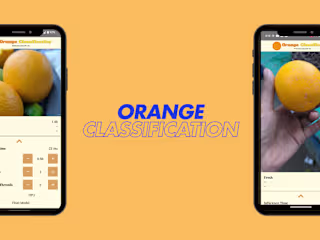 Orange Classification Android App: Real-Time Fruit Classificati…