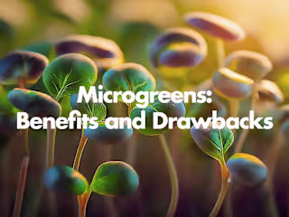 AI Video Production: The Benefits and Drawbacks of Microgreens 