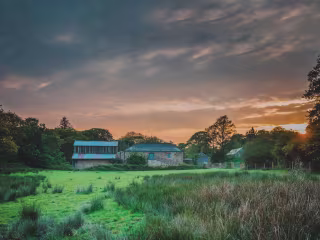 Grassroots gastronomy: the rise and rise of farm-to-table dining