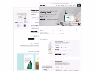 Ecommerce Website UI Designing