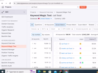 Keyword Research
