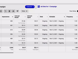 Record Breaking Cost Per Result in 2021 with Facebook Ads
