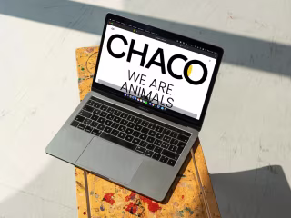 CHACO — Custom Wordpress Theme