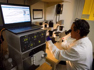 Blog Piece: Ethics of Genetic Engineering Involving Humans