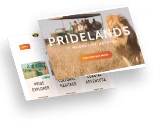 Website for Booking Safari Tours 