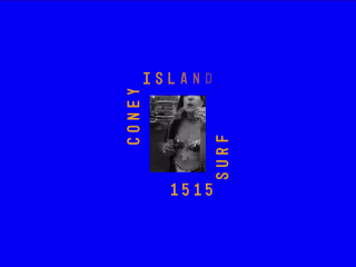 1515Surf | 3D exploration platform