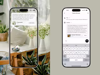 AI Chat