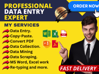 Data Entry Expert