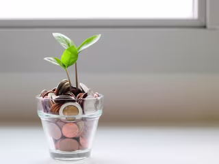 Embracing Minimalism: How Less Can Lead to a More Fulfilling Li…