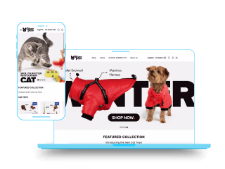 Silver Paw Dog | eCommerce Design + Landing Page Optimization 
