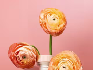 Product Photography: Atōst