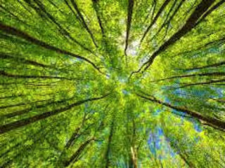 Revolutionizing Sustainability with Green Technology and Renewab