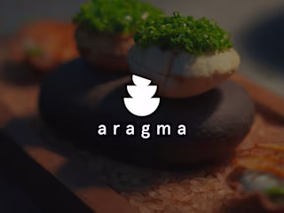 Aragma - Content Creation