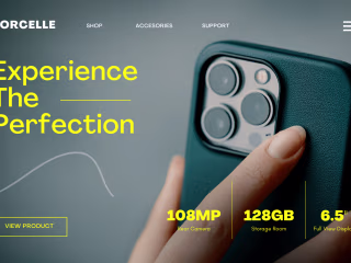 Website Design Samples 