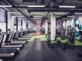 Fitness Website