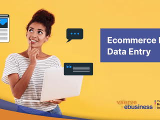 E-commerce Product Data Entry