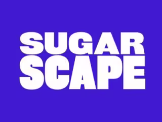 Project for Hearst: Relaunching Sugarscape