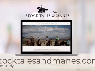 Responsive Website & SEO Case Study