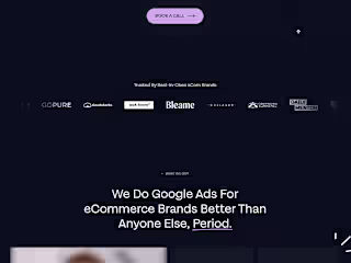 Website developed for Google Ads Agency in Webflow