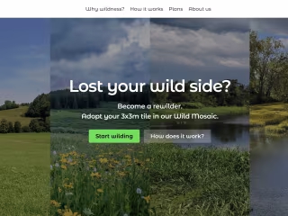 Wild Mosaic 