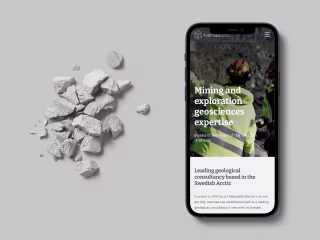 Avannaa | Design & Webflow Development 