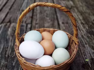 Writing: What Is Diversification?