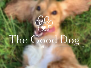 Pet Supply Store Branding and Design