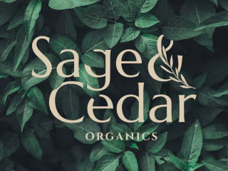 CBD Company Brand Design and Strategy
