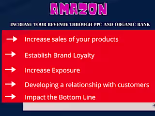 Managed Successful Ad Campaigns Leading to Increased ROI