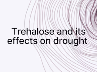 Trehalose