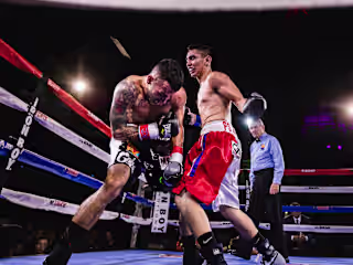 Boxing Niche Edit