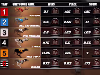 Greyhound Racing