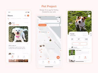 Application design - Pet Project