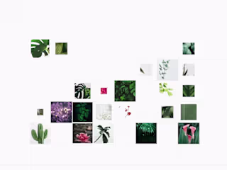 Animations with Figma and Jitter