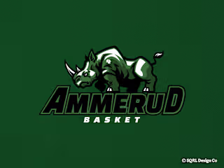 Ammerud Basket - Concept