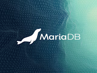 Database Optimization for Financial Services Company 