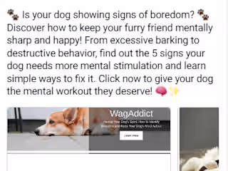 Facebook Ads — 5 Signs Your Dog Needs Mental Stimulation