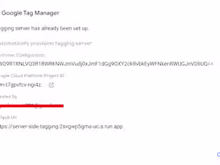 Deployed Server-Side GTM Container For a Marketing Agency
