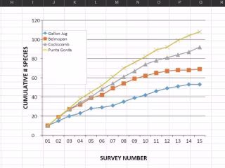 Ecology: Study Site Analysis