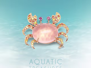 Aquatic Treasures social media lineup:: Behance