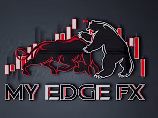 Professional logo design 